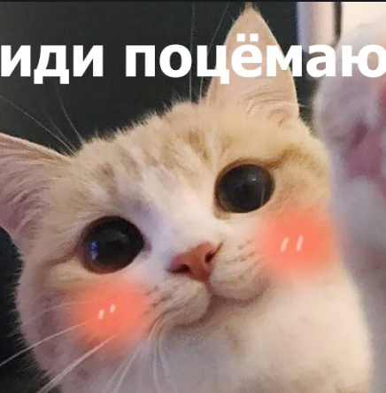 Сушкин Александр Петрович